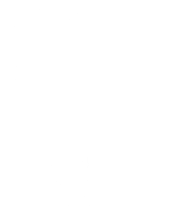 Catskill Mountain Foundation logo white